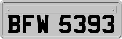BFW5393