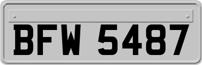 BFW5487