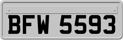 BFW5593