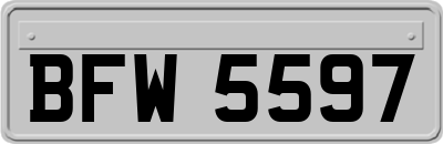 BFW5597