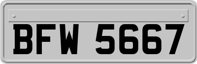 BFW5667