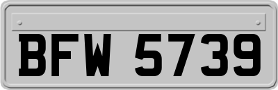 BFW5739