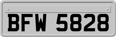 BFW5828