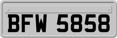 BFW5858