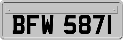BFW5871