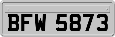 BFW5873