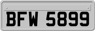 BFW5899