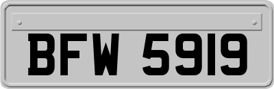 BFW5919