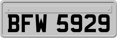 BFW5929