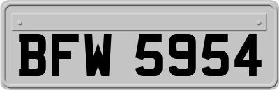 BFW5954