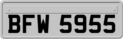 BFW5955
