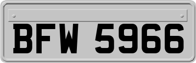 BFW5966