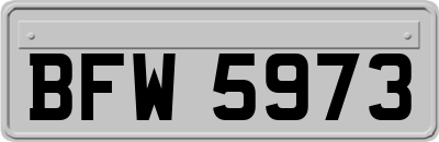 BFW5973