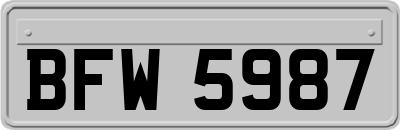 BFW5987