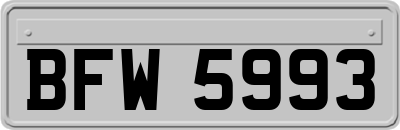 BFW5993