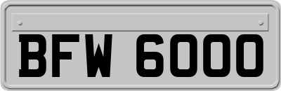 BFW6000