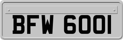 BFW6001