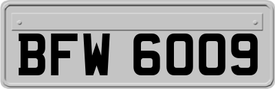 BFW6009