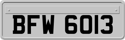 BFW6013