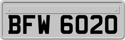 BFW6020