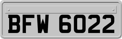 BFW6022