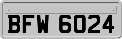 BFW6024