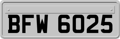 BFW6025