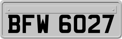 BFW6027