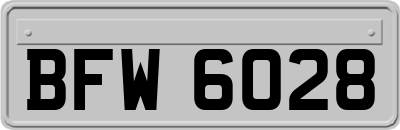 BFW6028