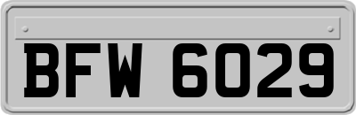 BFW6029