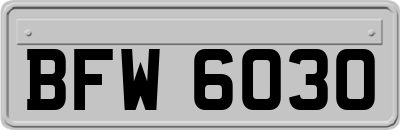 BFW6030