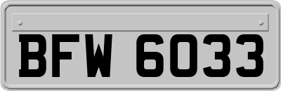 BFW6033