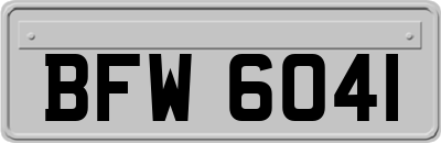 BFW6041
