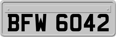 BFW6042