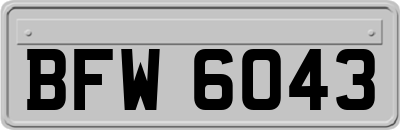 BFW6043