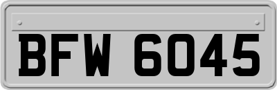 BFW6045