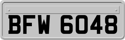 BFW6048