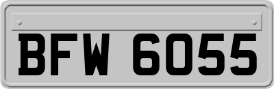 BFW6055