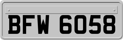 BFW6058