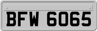 BFW6065