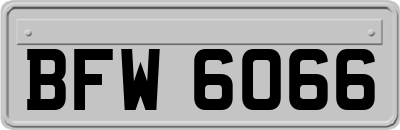 BFW6066