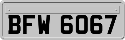 BFW6067