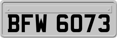 BFW6073