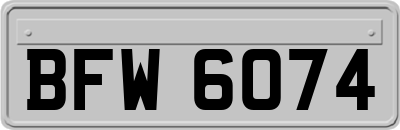BFW6074