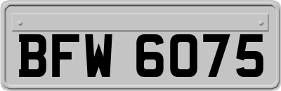 BFW6075