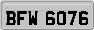 BFW6076