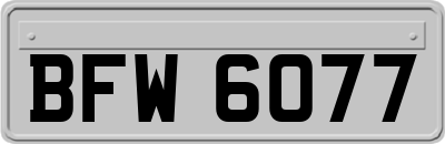 BFW6077