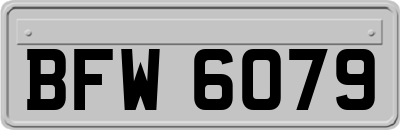 BFW6079