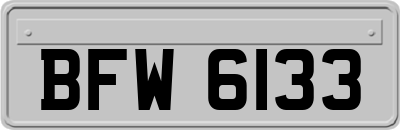 BFW6133
