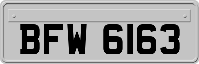BFW6163